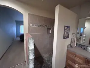 owner suite with walk-in tiled shower