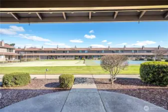 View from covered back patio