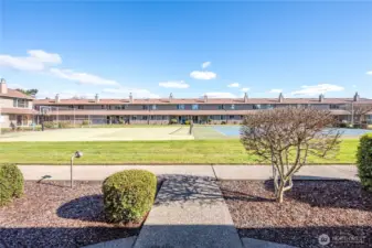 View from back patio