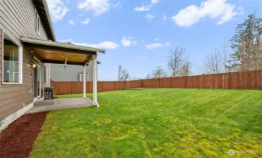 Expansive fenced yard