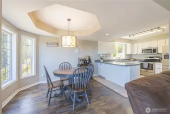Dining room with octagon tray ceiling.