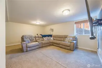 Lower level family room
