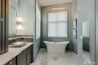 Gorgeous primary bath w/Carrera marble and heated floors. Large walk in shower, hammered Nickel sinks and Victoria & Albert Limestone freestanding tub