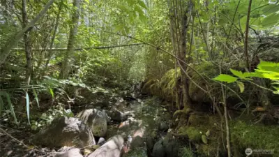 Creek boarding Eastern side of property