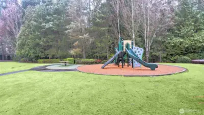 Enjoy multiple well maintained parks throughout this neighborhood, one of which is just steps from your fornt door.