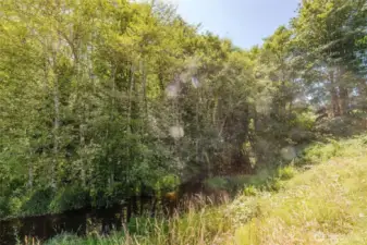 Lovely, calming, meandering stream between you and the highway. You cannot hear either one in the house.