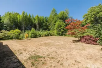 Beautiful trees and berry bushes