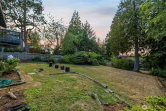 Expansive back yard
