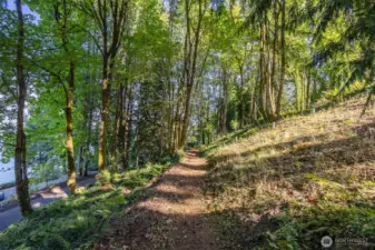 There is a little path to walk out to the other side of the property. Maybe an ADU could go here ?