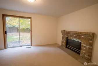 Bonus Room with FP and sliding glass door to back yard