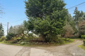The driveway into the property and plenty of parking on the side of the street too. The street dead-ends and with the park and pond across the street, it really feels like you are in the woods.
