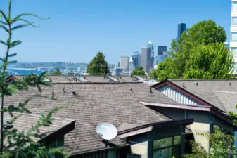 View of Elliot Bay and Downtown