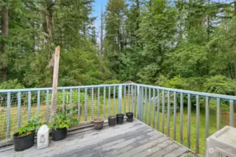 Back Deck off Dining overlooking Backyard