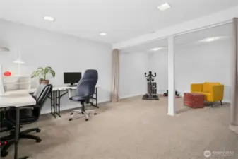 Spacious lower level bonus room.