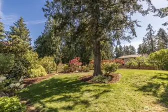Large lawn area for playing or relaxing