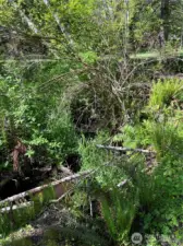 No Name Creek is part of a 25' greenbelt easement