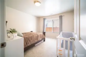Downstairs bedroom
