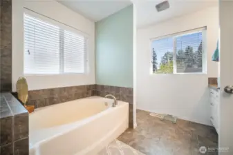Primary bathroom