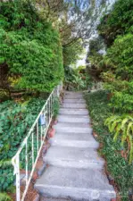 Walkway down to home. Pull back lots of landscape and clear out brush for cleaner look