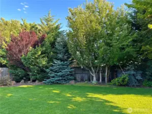 Beautiful greenery to provide additional privacy on the south side of the property