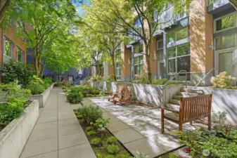 Courtyard between buildings