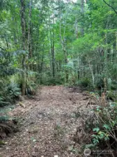 Pathway along the S line for access to the rear of the parcel.