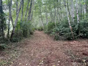 Easy access for viewing the site.