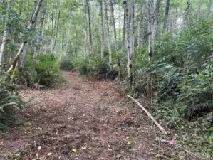 Walk the path to your sanctuary.