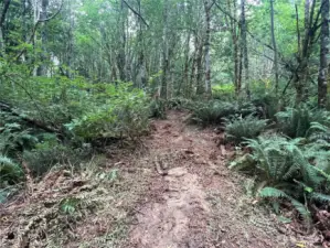 Another level area on the site.