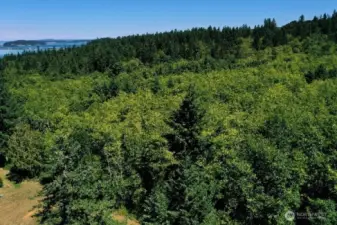 Aerial view to the NW. Hood Canal bridge is nearby. The gateway to the Olympics.