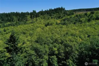 View to W   Kitsap County Park