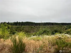 View to the East from the ridge top.