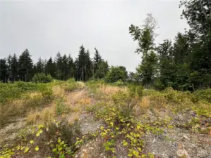 View to the N from the ridgetop.