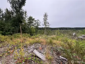 View to the East from the ridgetop.