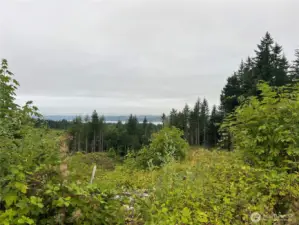 View to the SW from the ridgetop.