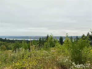 Seclusion and serenity.