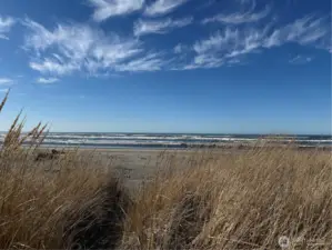 In the dunes looking at the Pacific Ocean