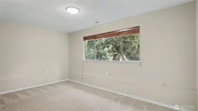Second downstairs guest bedroom.