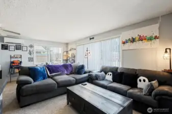 Living Room w/ Ductless Mini Split HVAC
