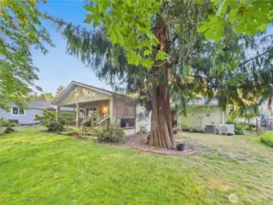 This easy to maintain yard has something for everyone.