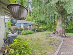 Surrounded by mature trees and landscaping gives this yard a retreat feel.