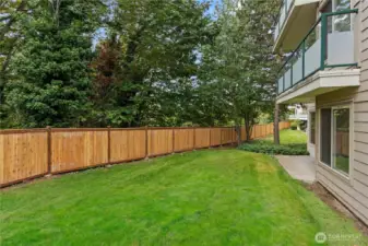 New Fence