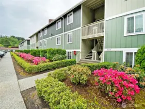 Beautiful Landscaping through out the whole property