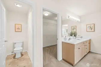 Primary bedroom walk-in closet and private toilet area.