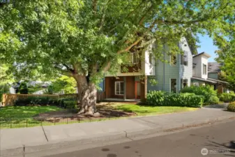 Welcome home to this fully updated, 3 bedroom, 2.25 bath home with an office nook and garage! Very-well maintained and vibrant community in the heart of it all!