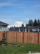 Picture from backyard last summer