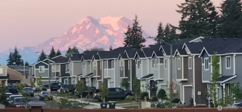 This is taken from the yard