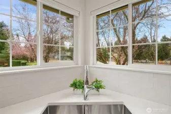 Bright brand new sink and faucet with views to school playground and open vistas.