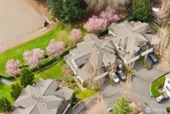 Pink Cherry Trees light up the inside of the home - aerial view.