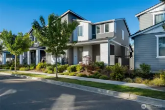 All staging has been removed